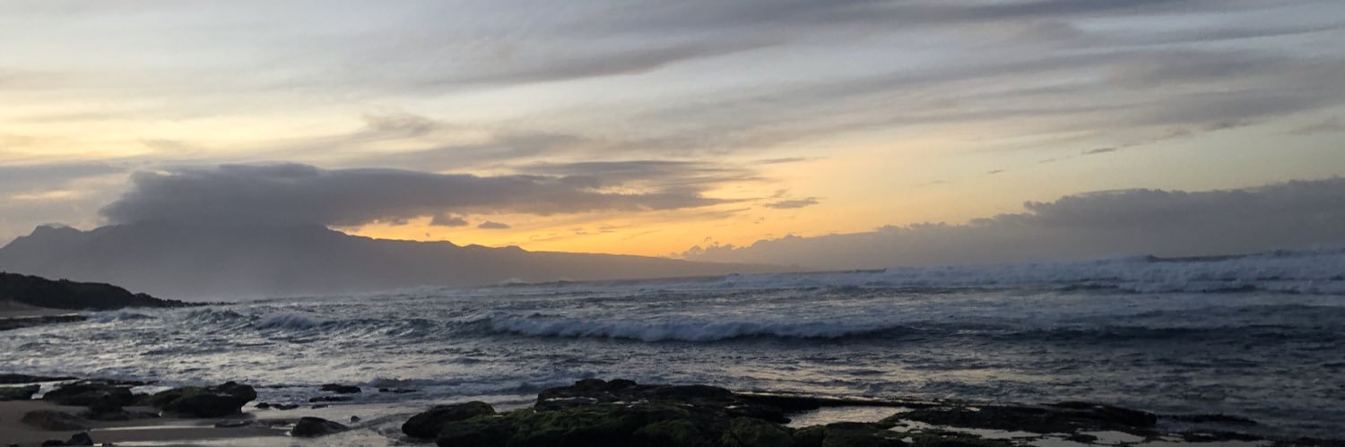 Shaun Dickson banner