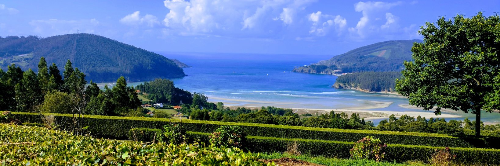 Javier Parapar banner