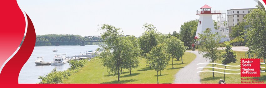 EasterSealsNB's profile banner image