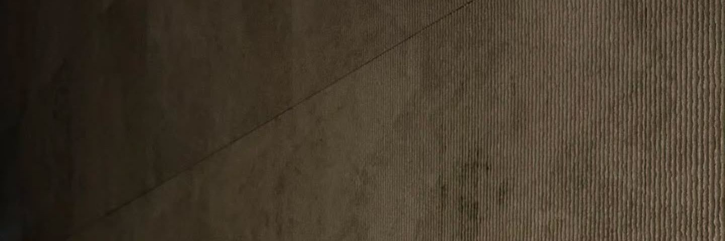 Sean. banner