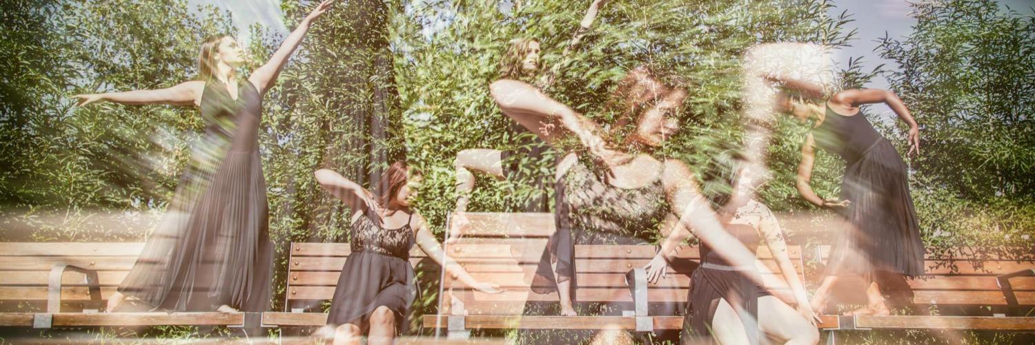hollymaddock's profile banner image