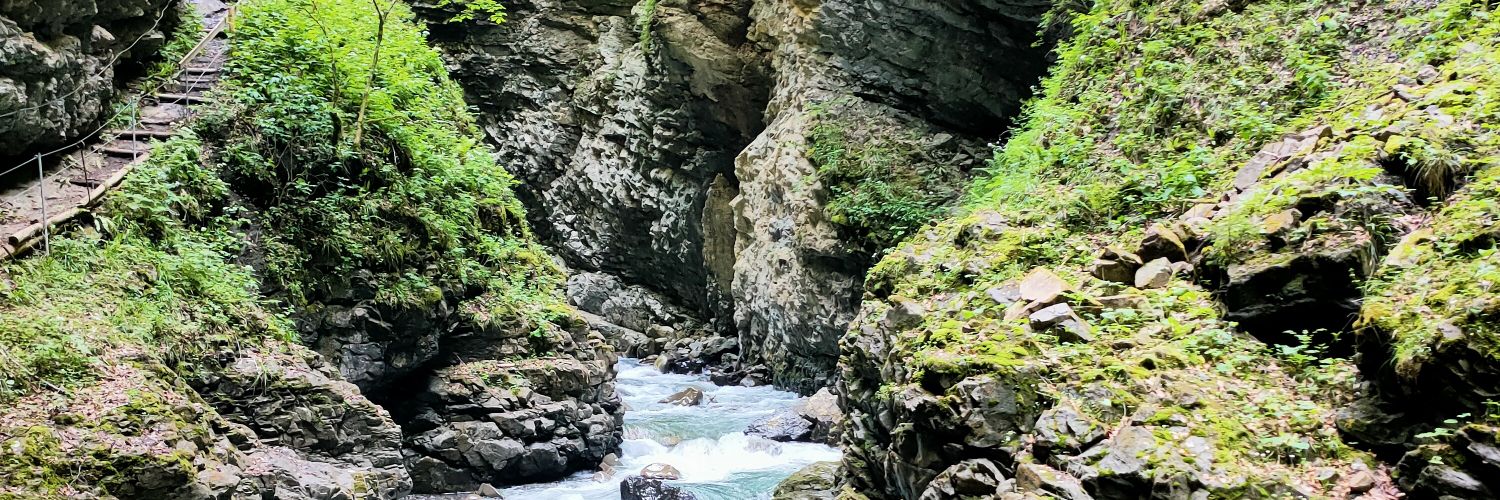 mel teck 🌍🌎🌏 🇩🇪🇪🇺 🖤💛 banner