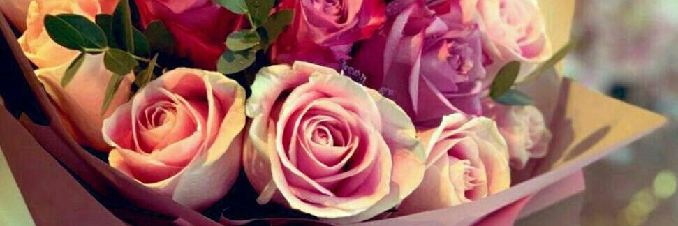 rfbapljh's profile banner image