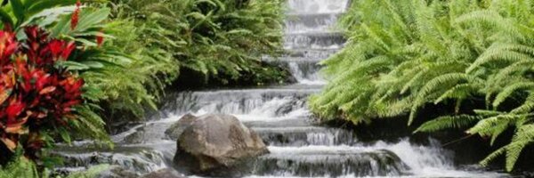 Platinum_storm7 Profile Banner