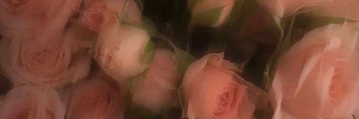 Xesli_'s profile banner image