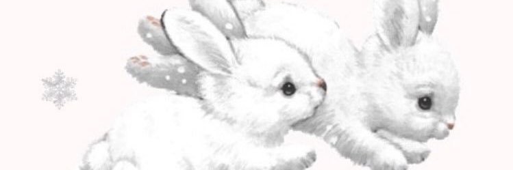 barbi banner
