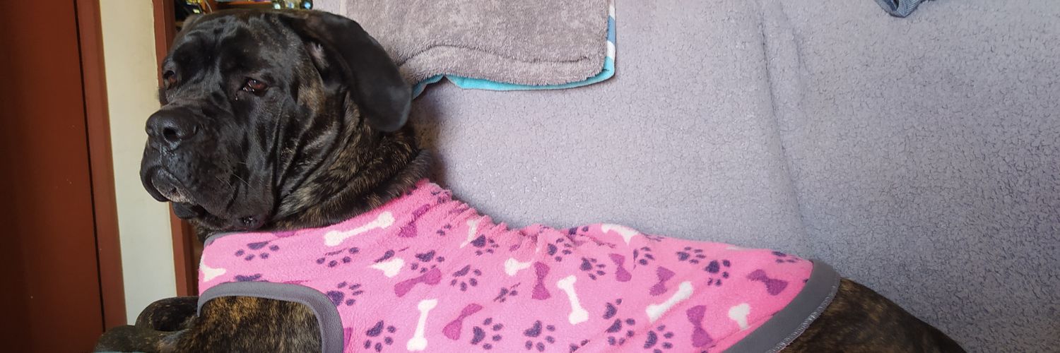 #NiPerdonNiOlvido banner