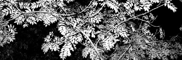 nabashtoo Profile Banner