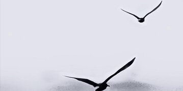 rahn199's profile banner image