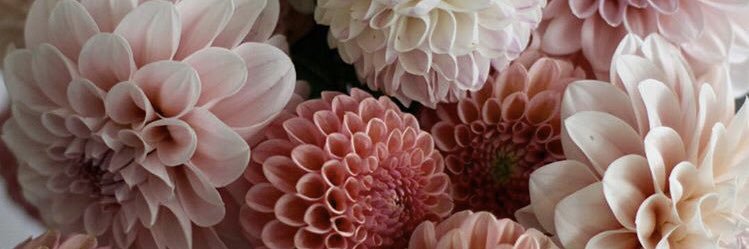 .Ginel. banner