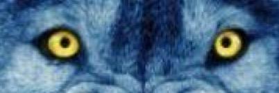 ratanlar's profile banner image