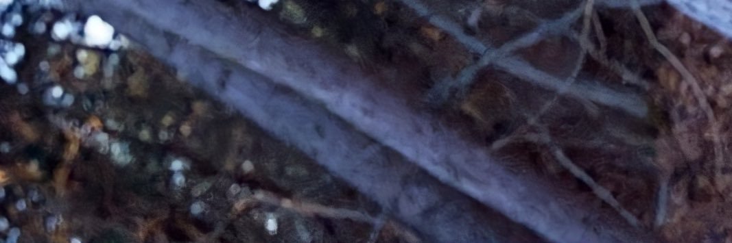EW. banner