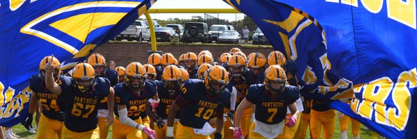 goldenpantherFB Profile Banner