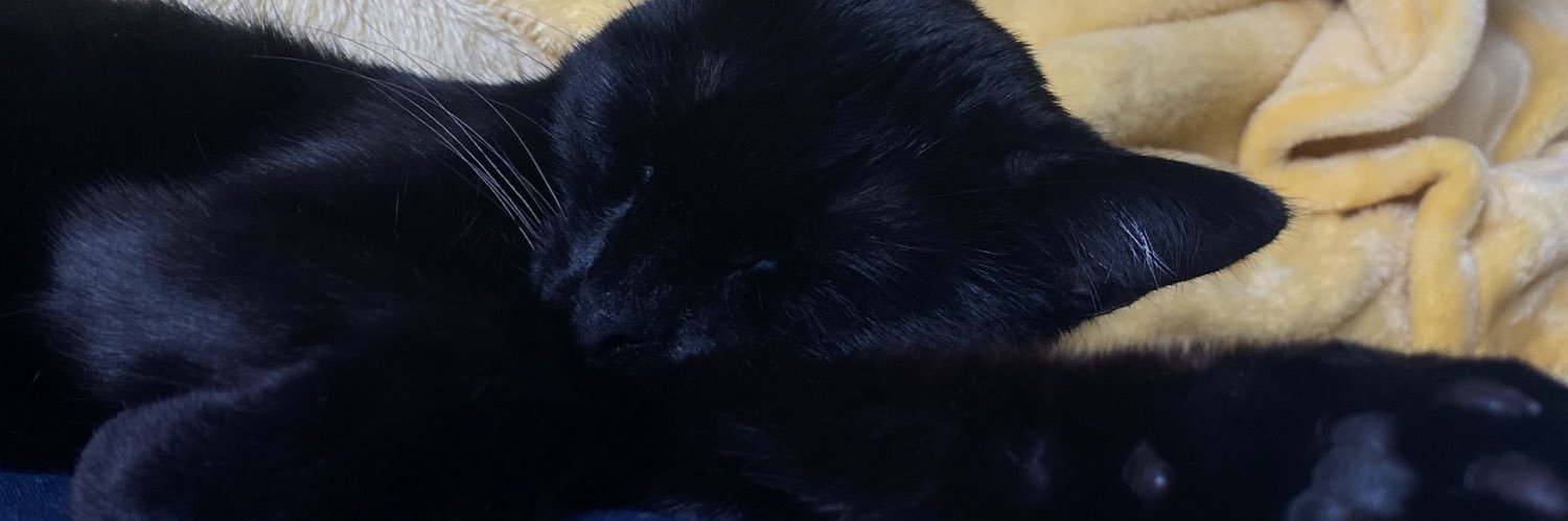 totallynotrain's profile banner image