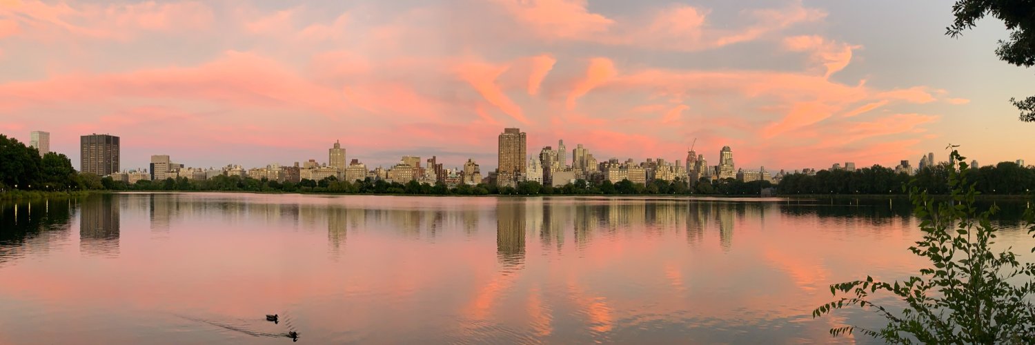 heathervanness's profile banner image