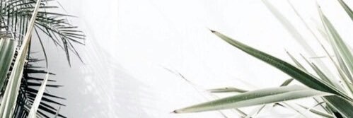 ClearKeepHeart's profile banner image