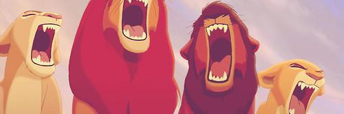 Simba_DMR's profile banner image