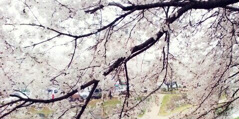 2812325's profile banner image