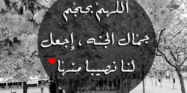 mryam52's profile banner image