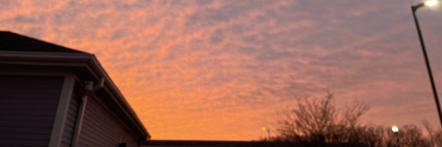 shevdashian's profile banner image