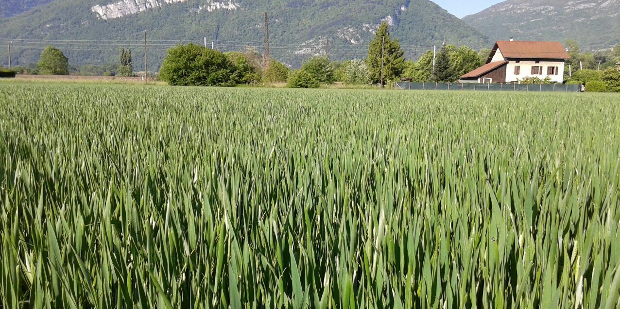 GMichallet's profile banner image