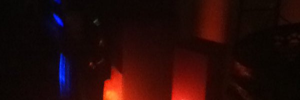 empress491 Profile Banner