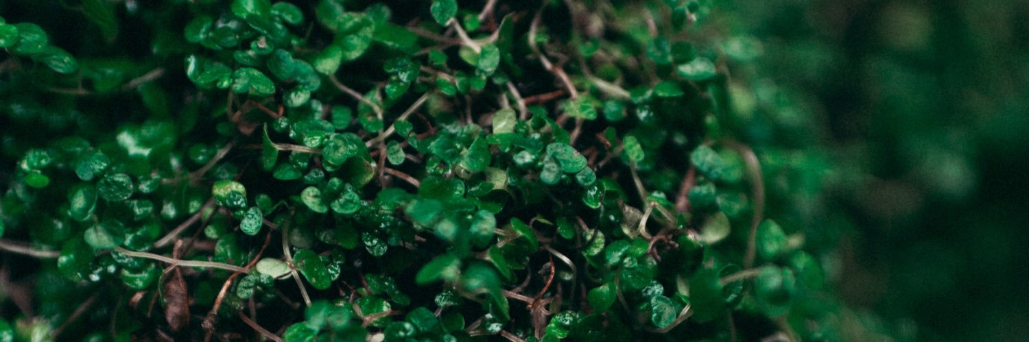 JoeSemechka's profile banner image