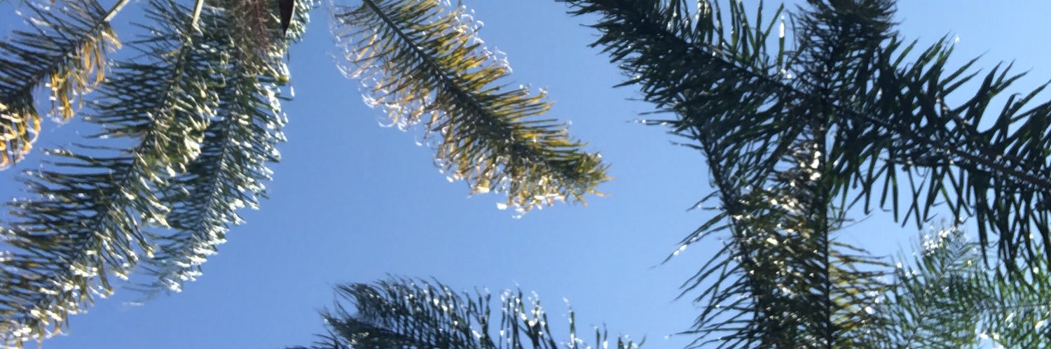 marianamn25's profile banner image