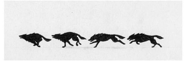WolfTail92's profile banner image