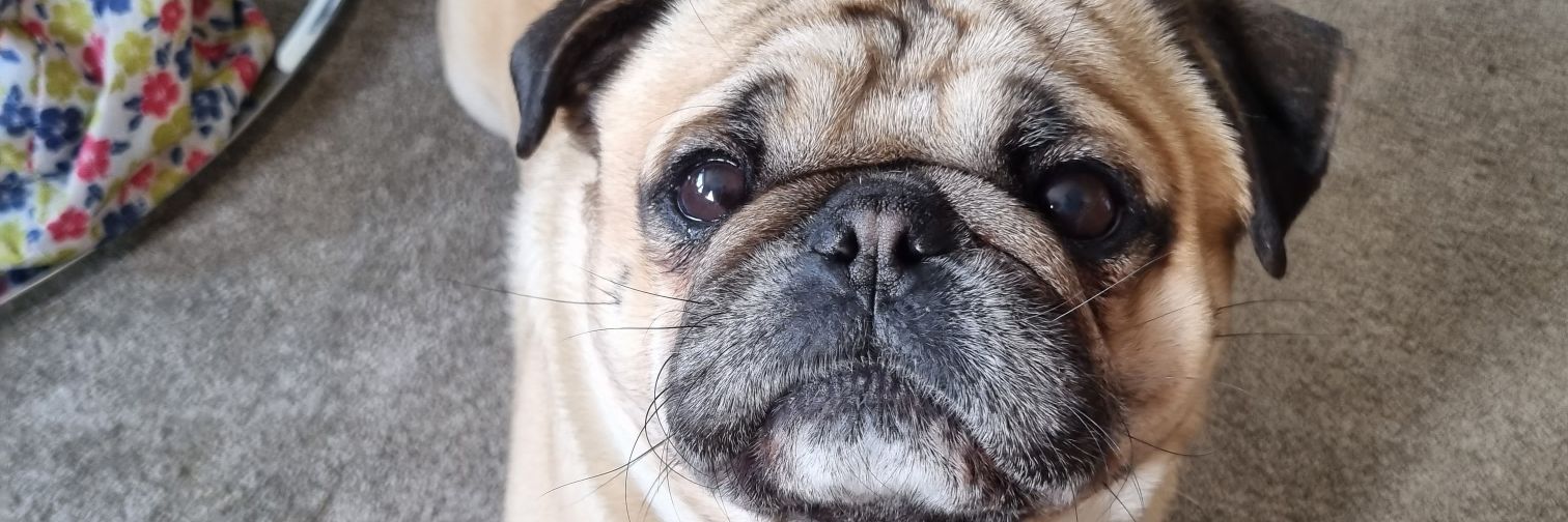 emilybarrett04's profile banner image