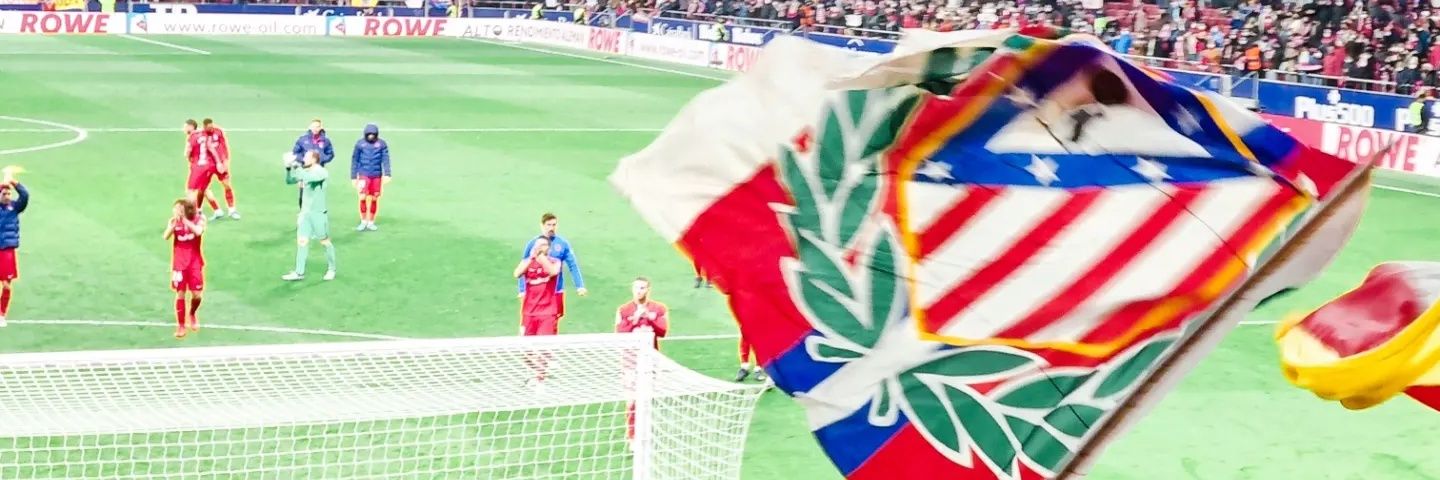 Paula. banner