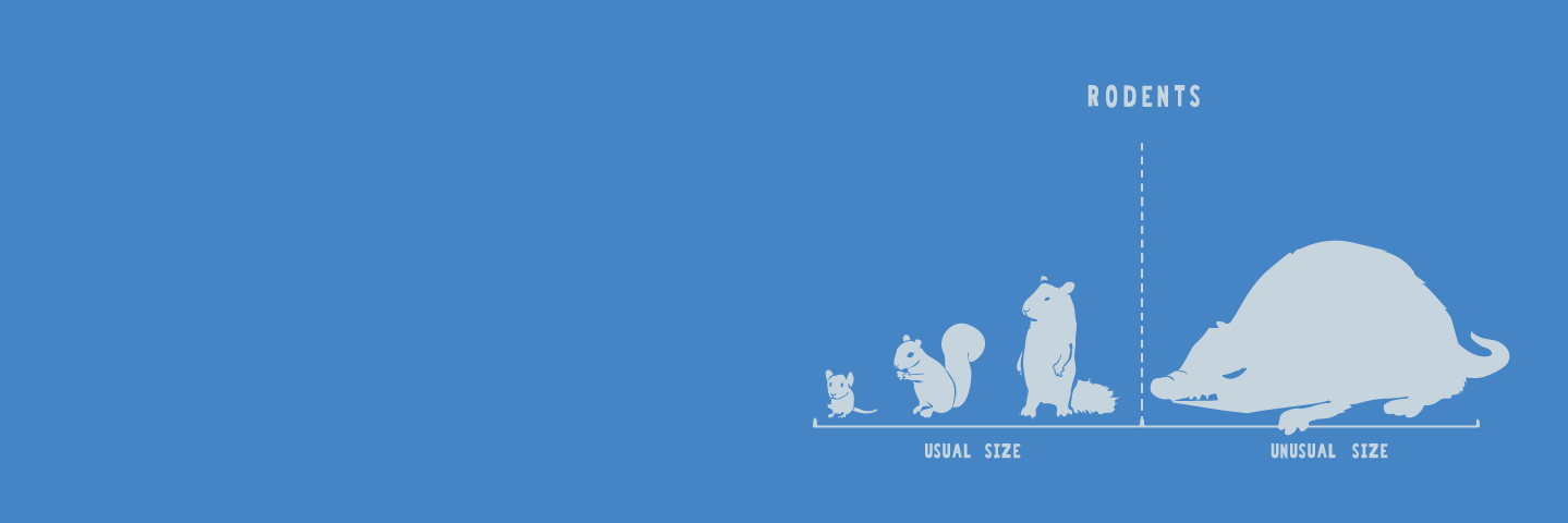 EmilyLShirk's profile banner image