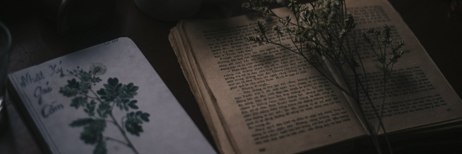 emidemarii's profile banner image