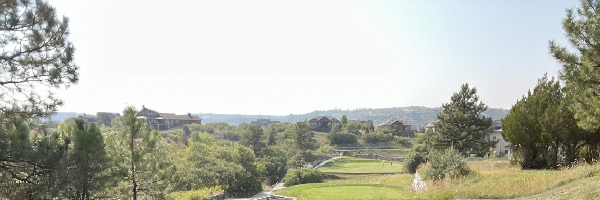 Andy Vuong banner