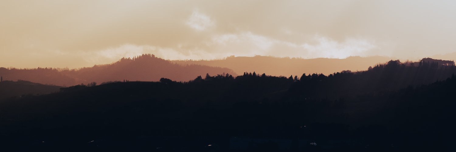 filippo_soldati's profile banner image