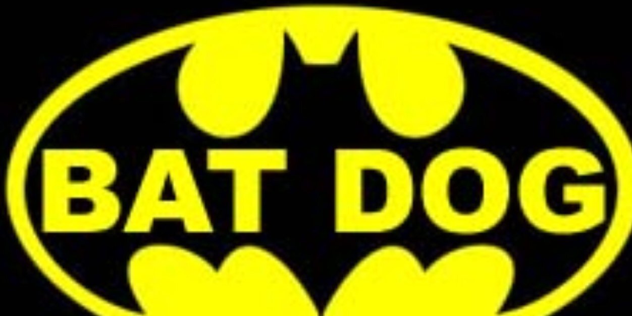 TheRealBatDog1's profile banner image