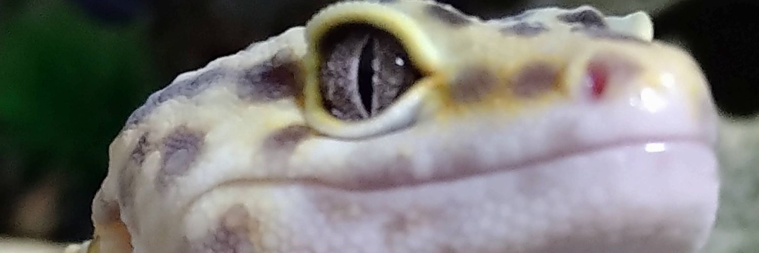 blackcherry68mo's profile banner image