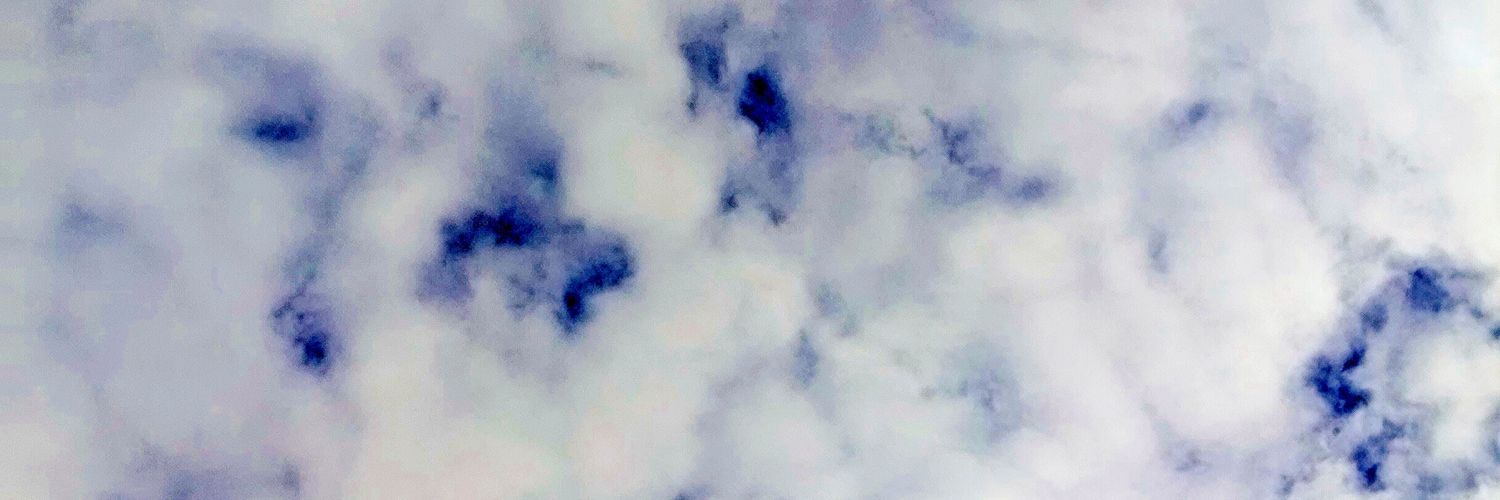 Raul Valadéz Félix banner