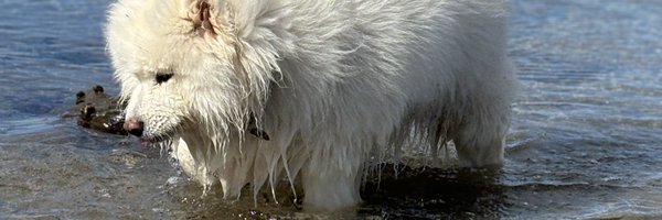 calkaz3 Profile Banner