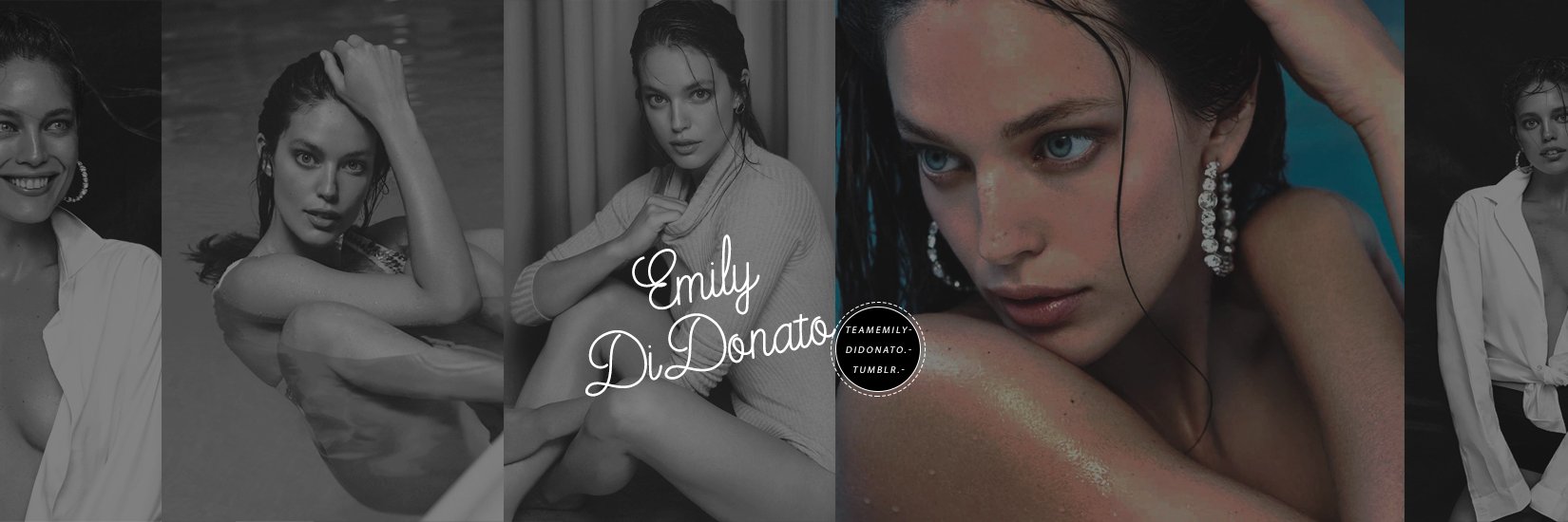 TeamEmilyD's profile banner image
