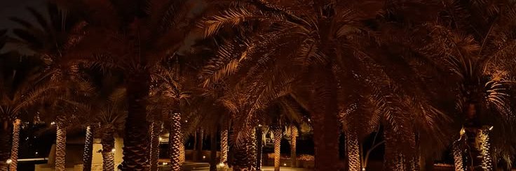 Yasser_25d5's profile banner image