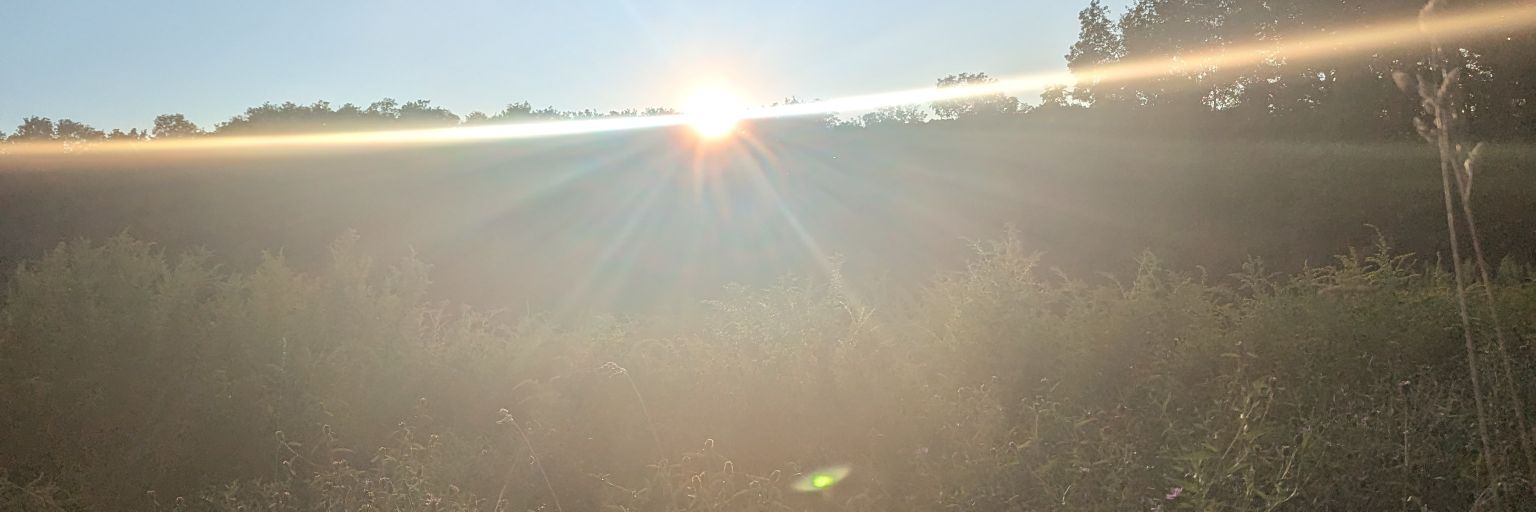 ocillations's profile banner image