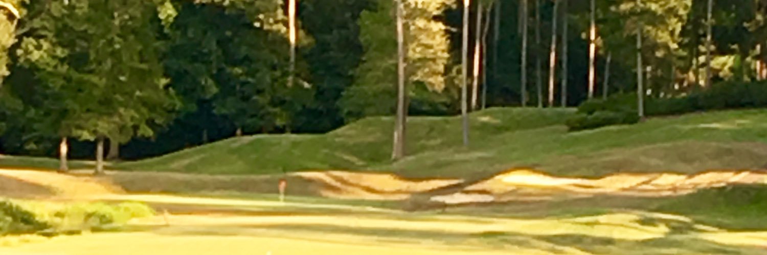 QHgolfpro's profile banner image