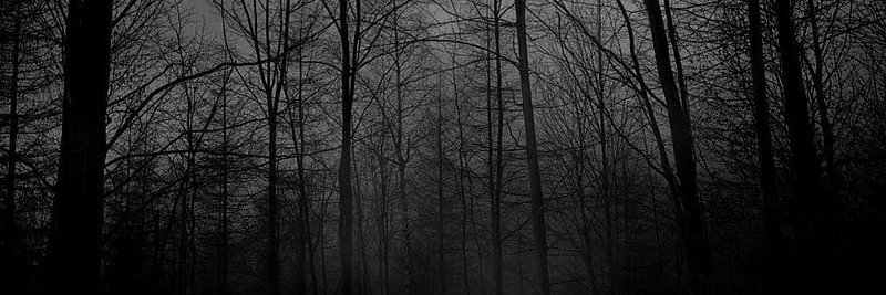 augusttocb's profile banner image