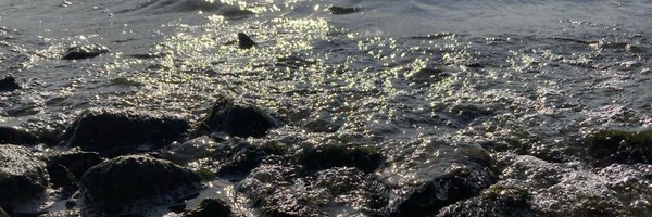 RyanCCullen Profile Banner