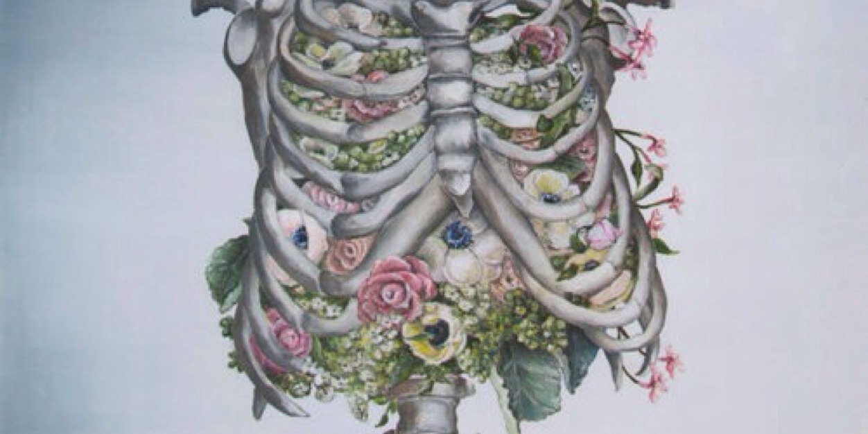 mediaputa's profile banner image