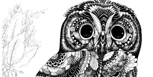 EnesBeytullahBo's profile banner image