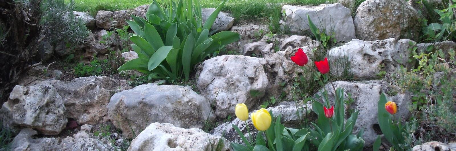 Ludaico Duver banner