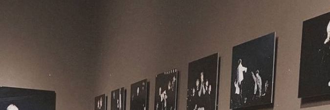 zam the turtle banner