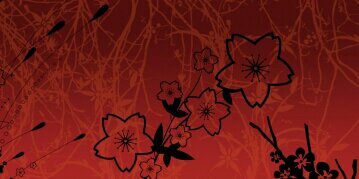 NoorSilver's profile banner image